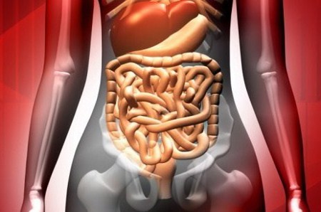 Wellness related image
